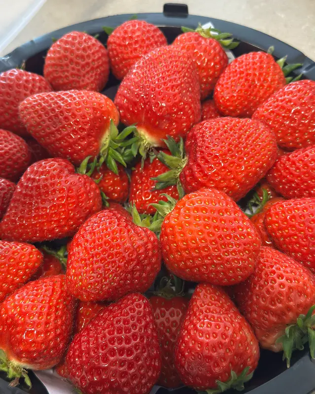 탐스러운 딸기의 모습