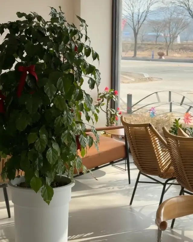 온다비 창가 좌석