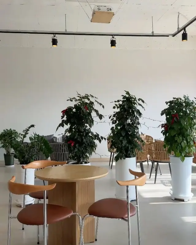 온다비 디저트 쇼케이스