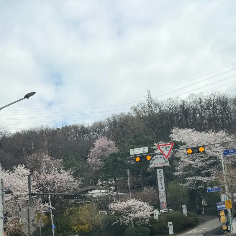 테라스바베큐키친으로 향하는 길