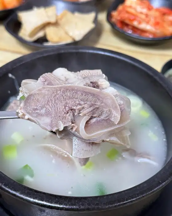 숟가락에 담긴 소머리 고기