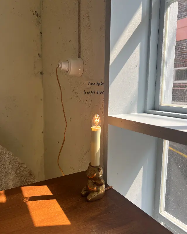 피자와 샐러드 전체샷