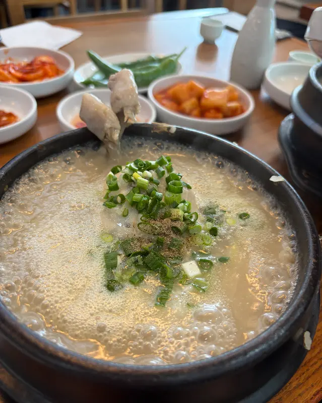 강원토종삼계탕 삼계탕 근접샷