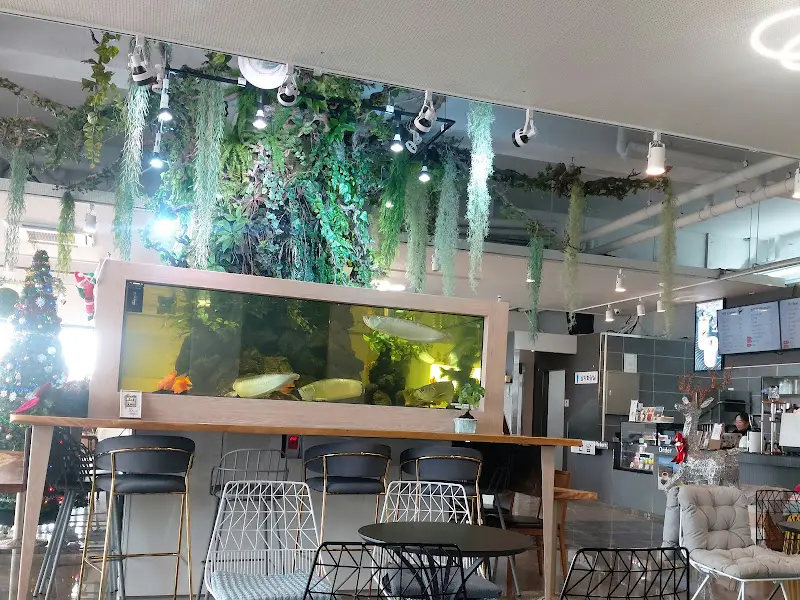 카페 내부 전경