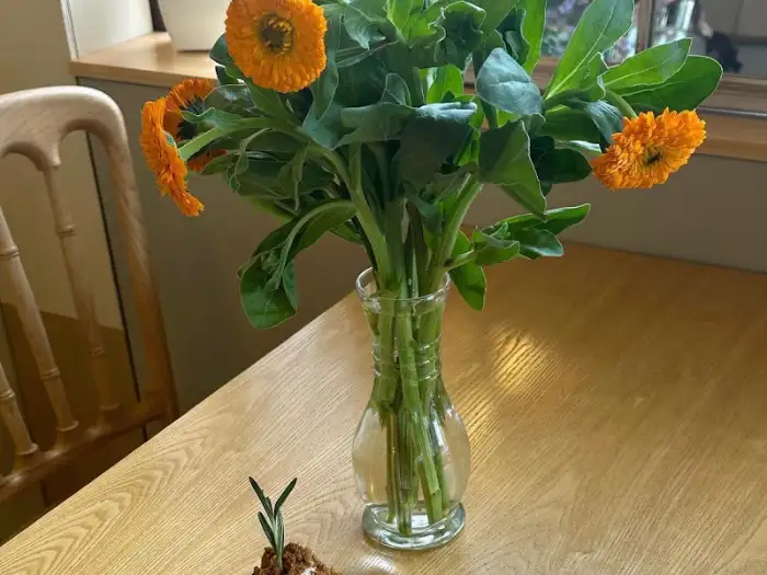 테이블 위에 놓인 오렌지색 꽃과 빵