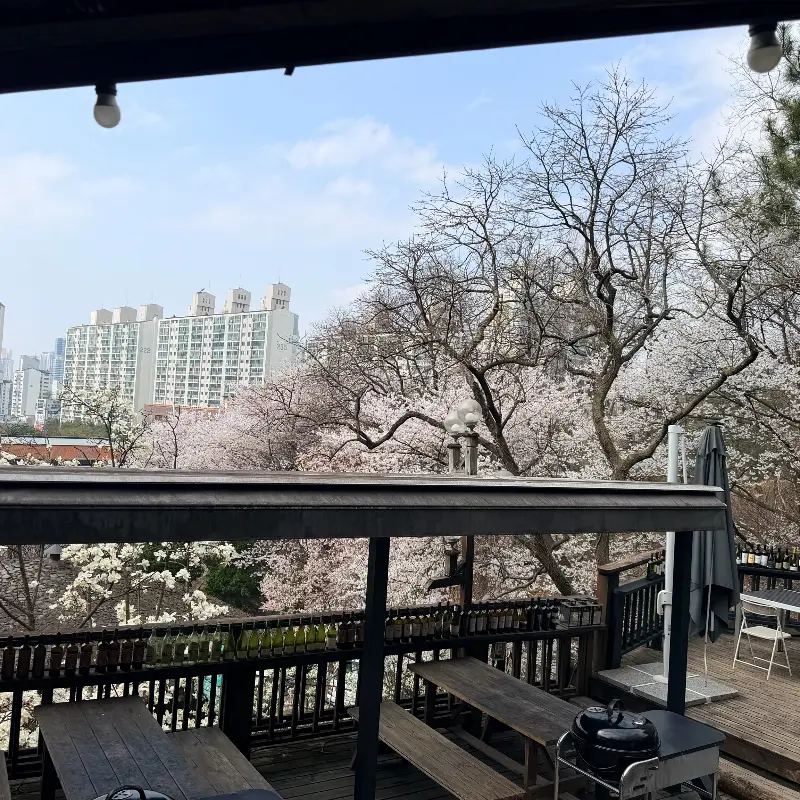 테라스에서 바라본 풍경