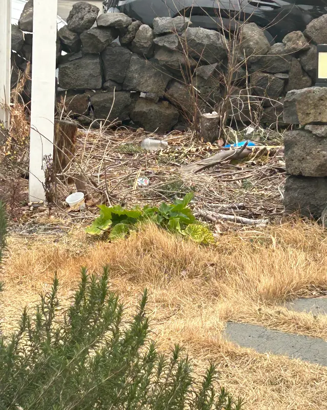 카페 주변 풍경