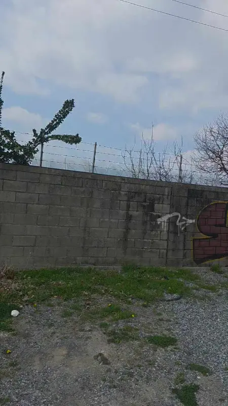 건물 외벽의 그레피티