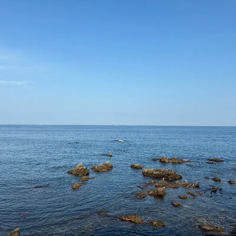 푸른 동해 바다의 전경