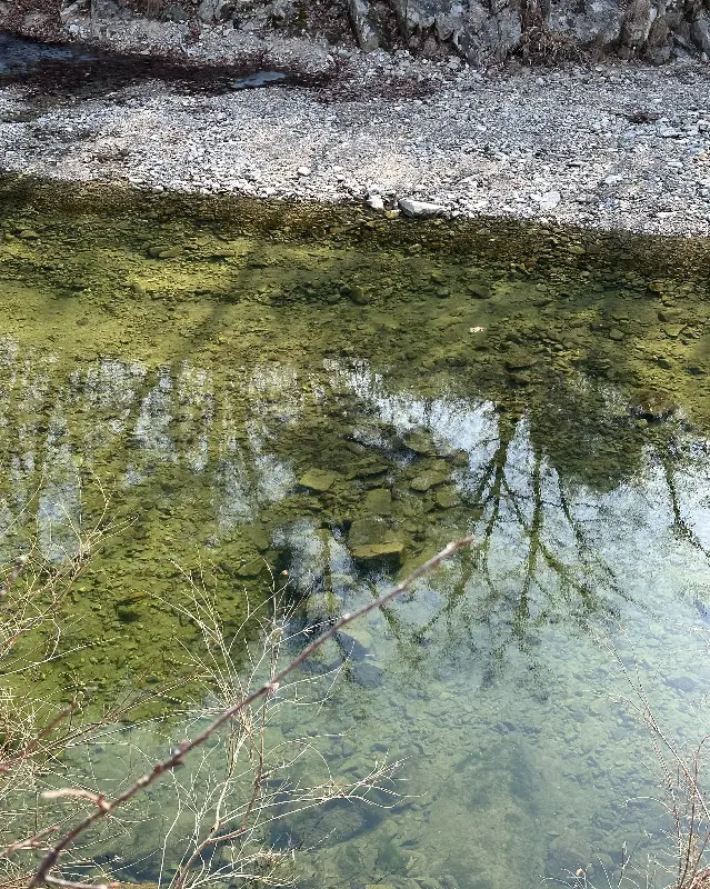 맑고 깨끗한 계곡물