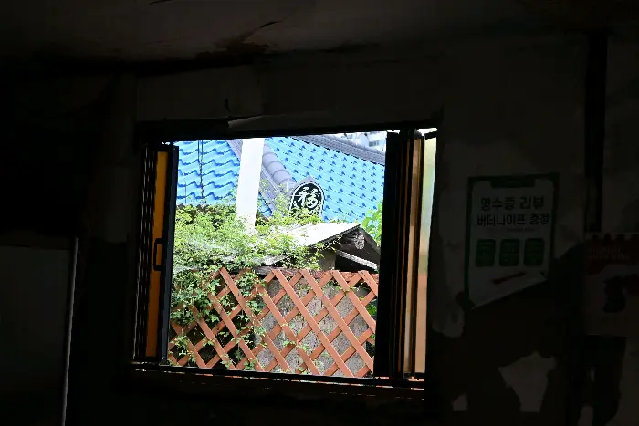 창밖으로 보이는 파란 지붕과 녹색 식물이 있는 풍경