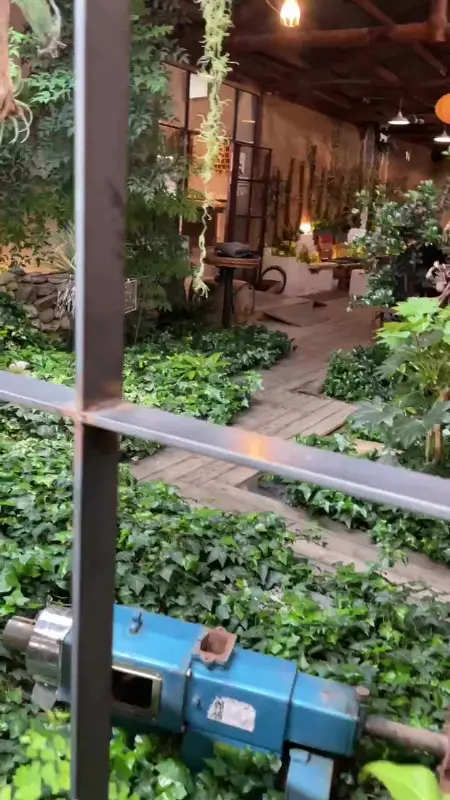 카페 내부 정원의 모습