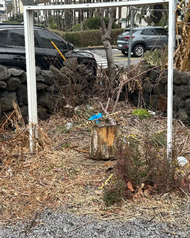 카페 주변 또 다른 풍경