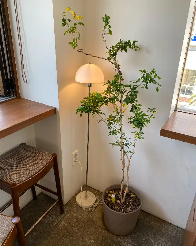 카페 내부 인테리어