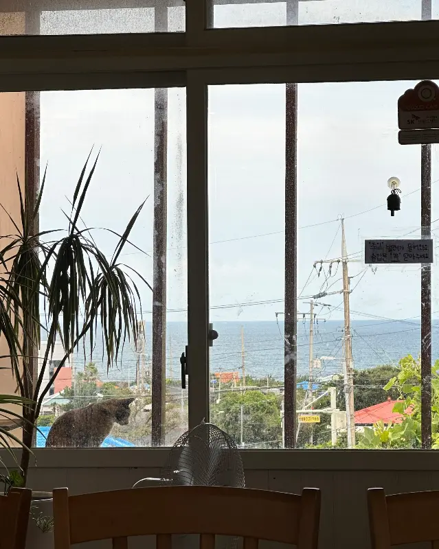 창밖으로 보이는 제주 바다 풍경