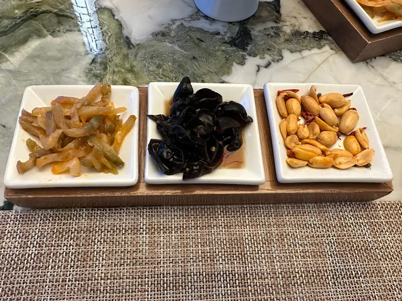 팔레드신 기본 찬