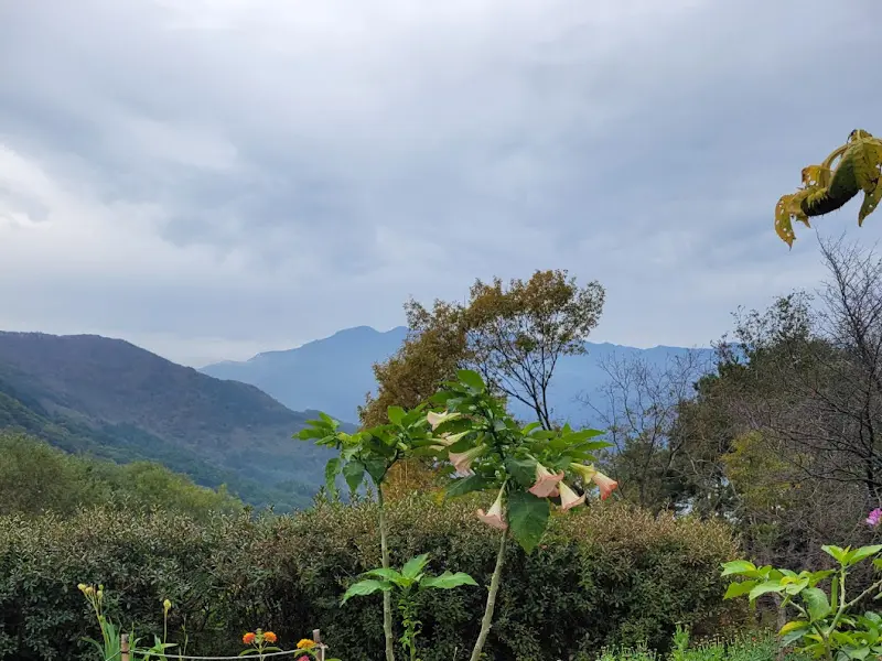 카페에서 바라본 지리산