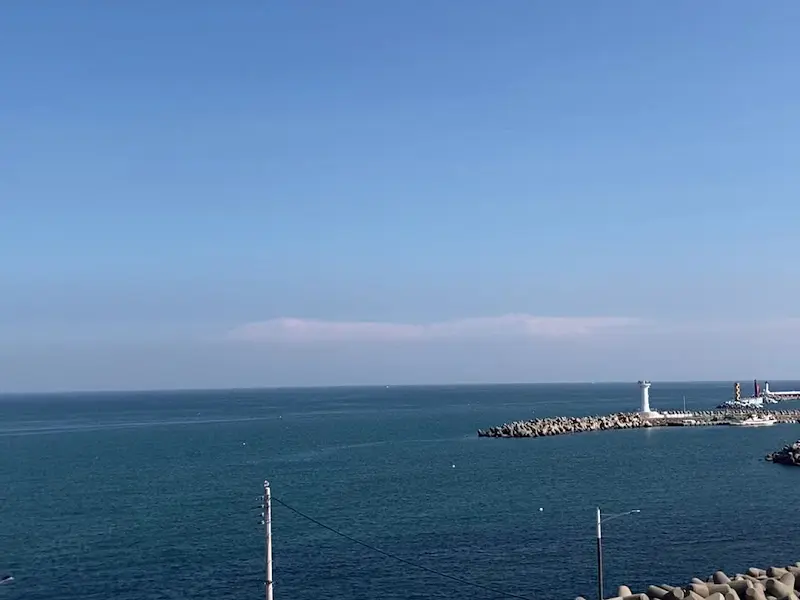 MAKE SEA COFFEE 에서 바라본 등대