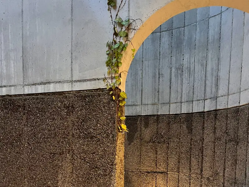 러디칙스의 빵들