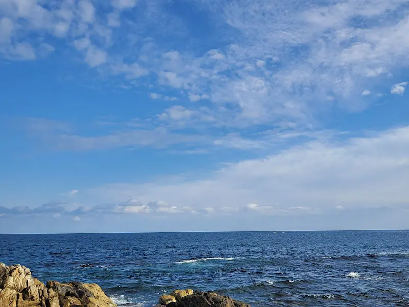 푸짐하게 차려진 물가자미 스페셜 정식