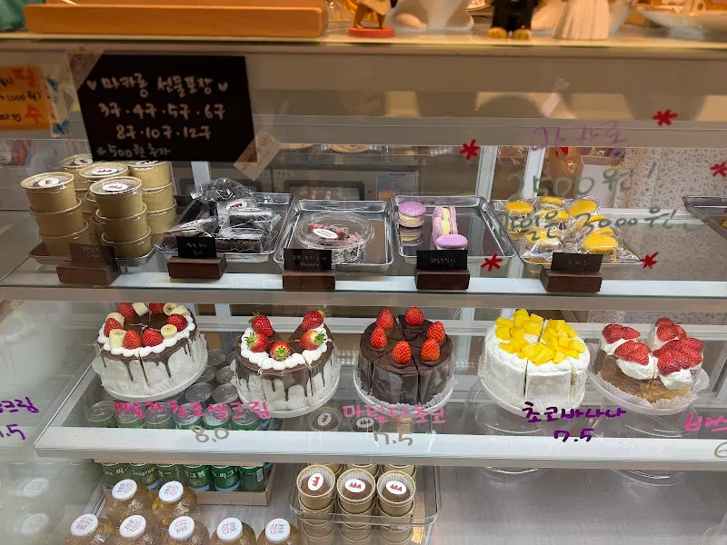 아네모네 쇼케이스