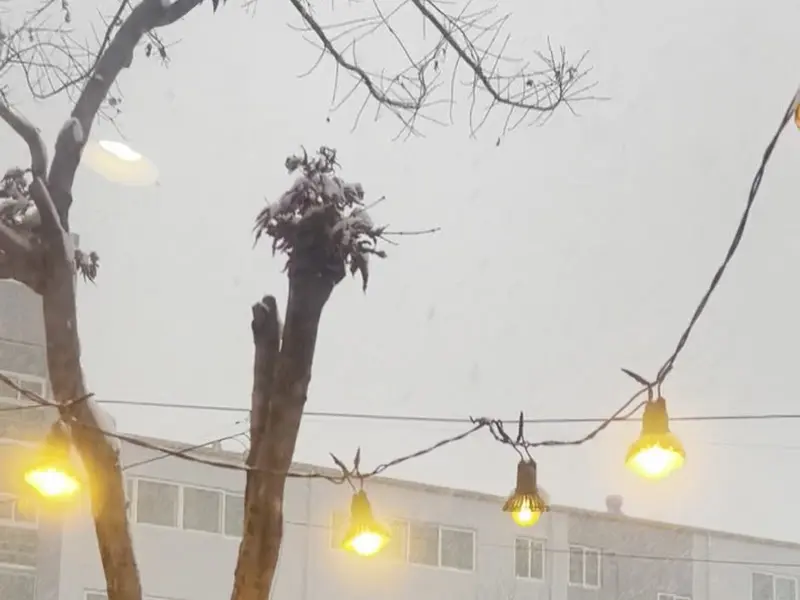 눈 내리는 풍경