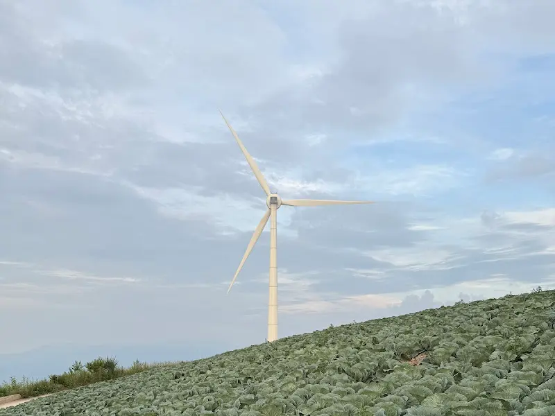 매봉산 풍력발전기