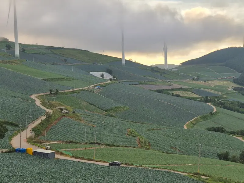 매봉산 가는 길