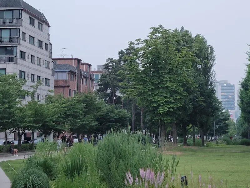 연트럴파크의 푸른 풍경