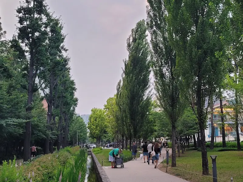 연트럴파크 산책로