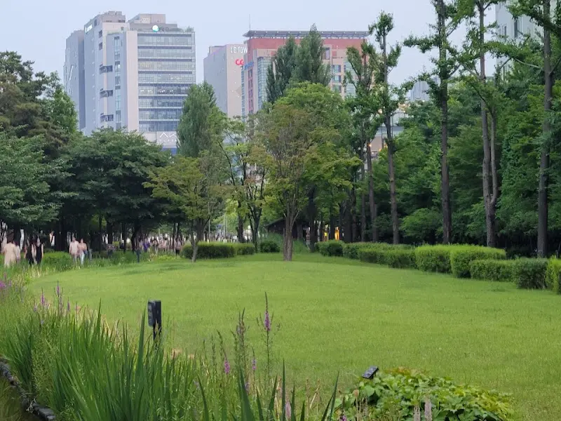 연트럴파크 잔디밭