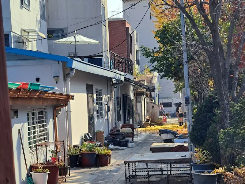 연트럴파크 주변 골목길