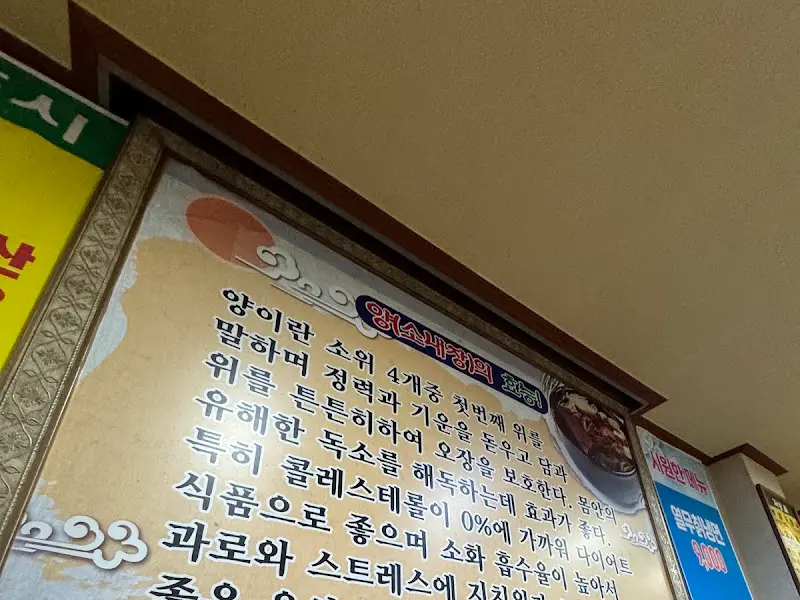 양의 효능