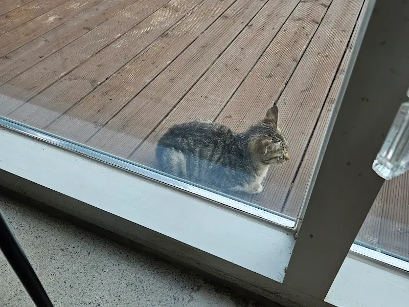 소금 커피와 크로와상