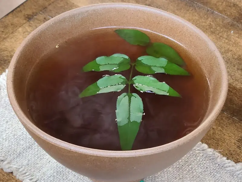 찻잔 속의 나뭇잎