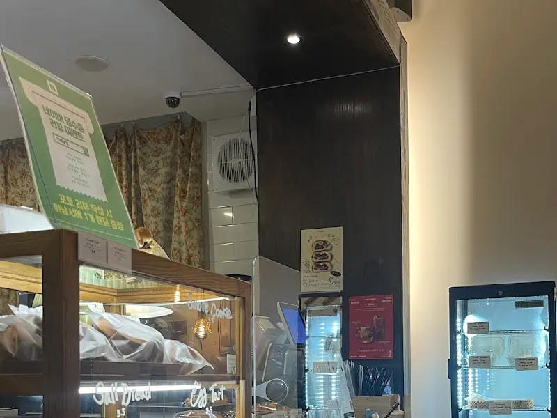 디저트 쇼케이스