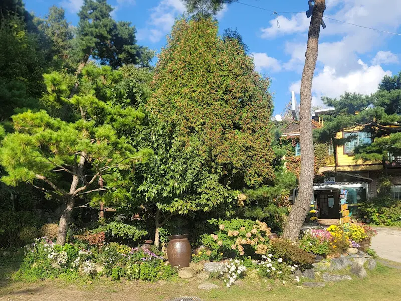 다양한 다육이 식물