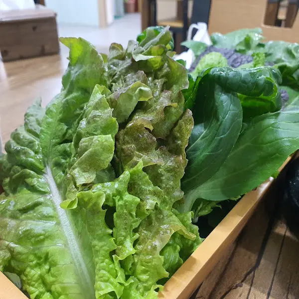 신선한 쌈채소