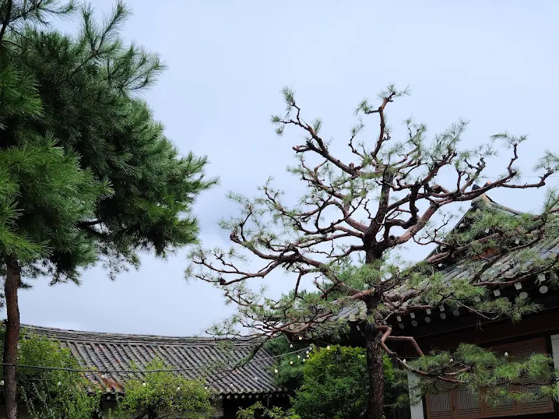 카페 외부 풍경