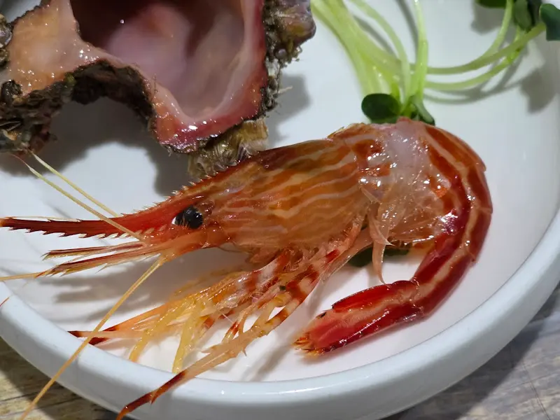 탐스러운 꽃새우와 멍게