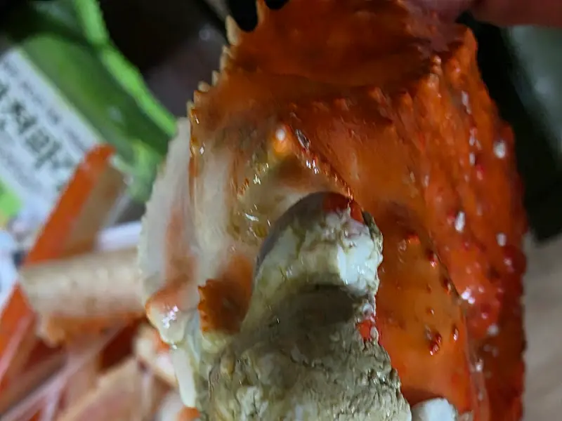 대게 다리의 클로즈업