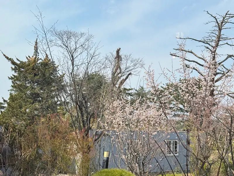 잿놀이 주변 풍경