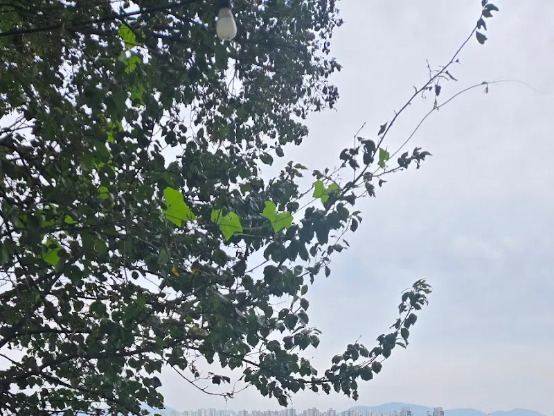 한옥 창문 프레임