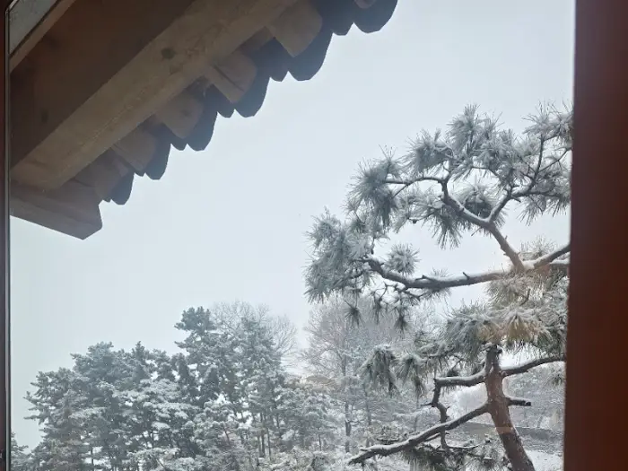 눈 쌓인 공산성 풍경 1