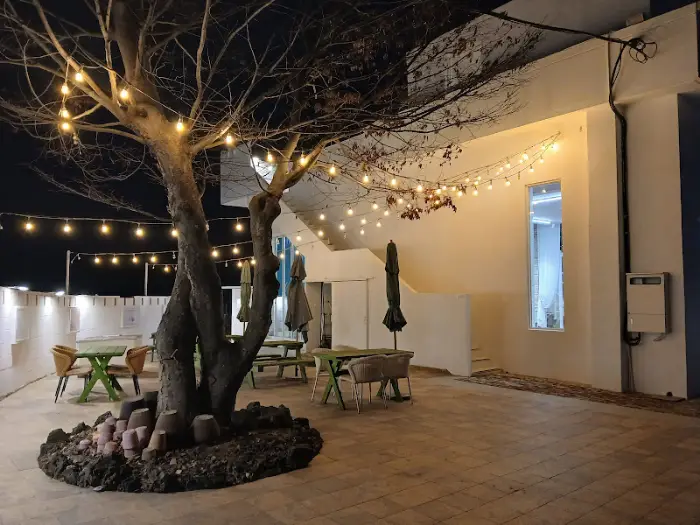 야외 좌석과 조명이 설치된 나무