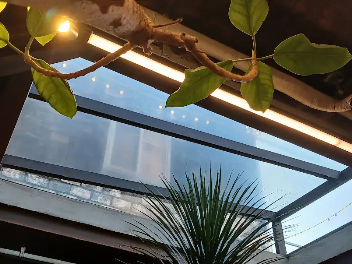 한다솥 본점 전복솥밥