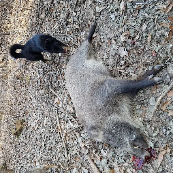 식사를 마치고 만족스러운 표정으로 나오는 손님들