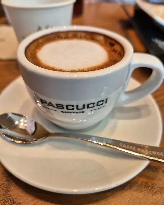 파스쿠찌 로고가 새겨진 커피잔