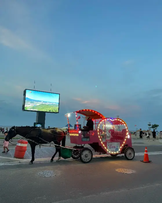 해변가의 마차와 풍경
