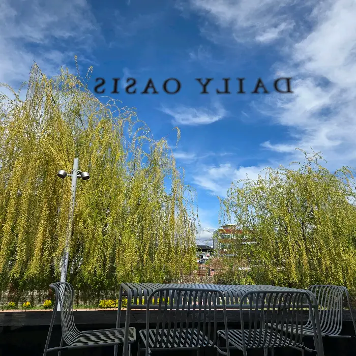 야외 좌석과 주변 풍경